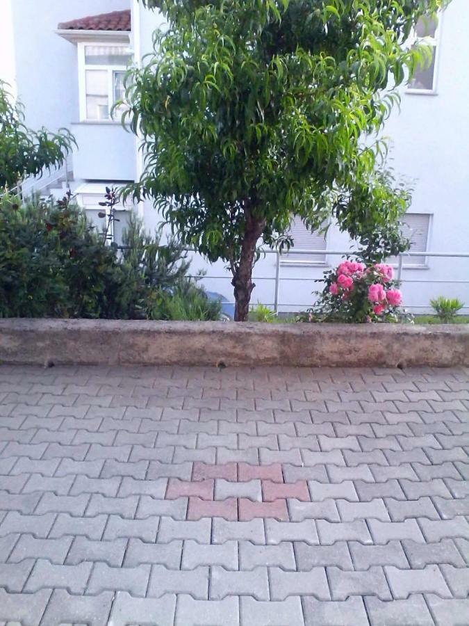 Ana Apartment Кострена Екстериор снимка